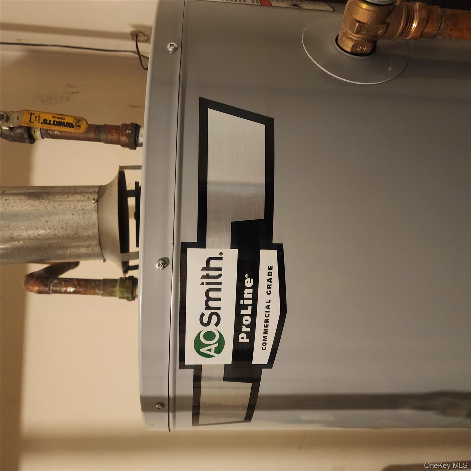 933 Tilden Street, Bronx, NY 10469