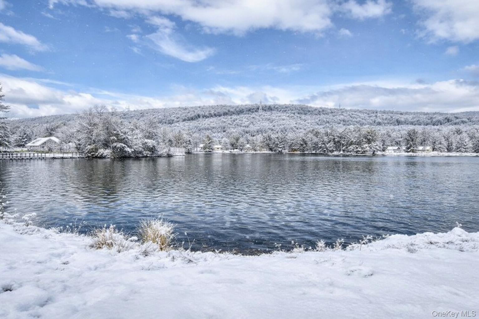 404 Mountain Laurel Drive, Monroe, NY 10950