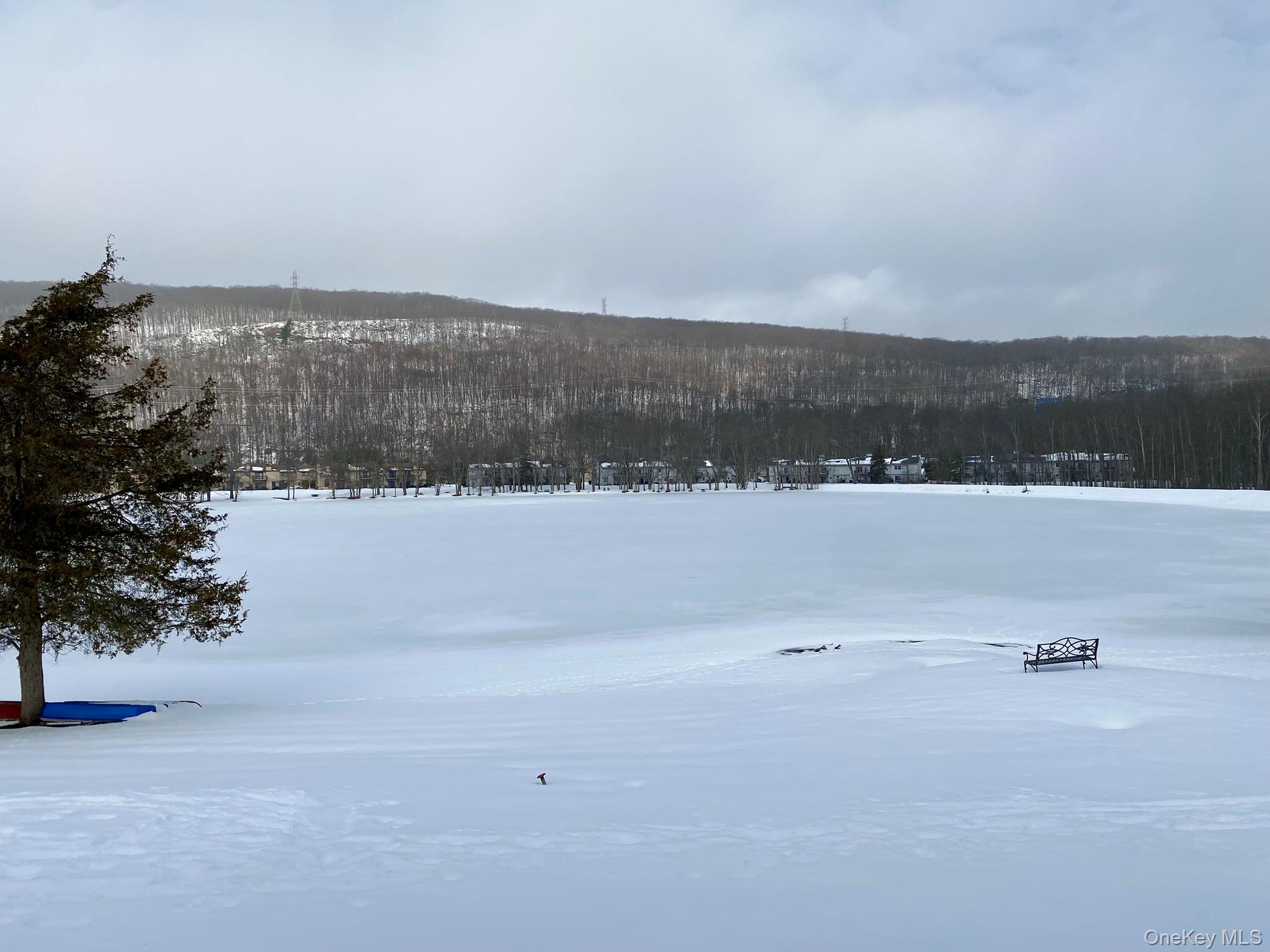 404 Mountain Laurel Drive, Monroe, NY 10950