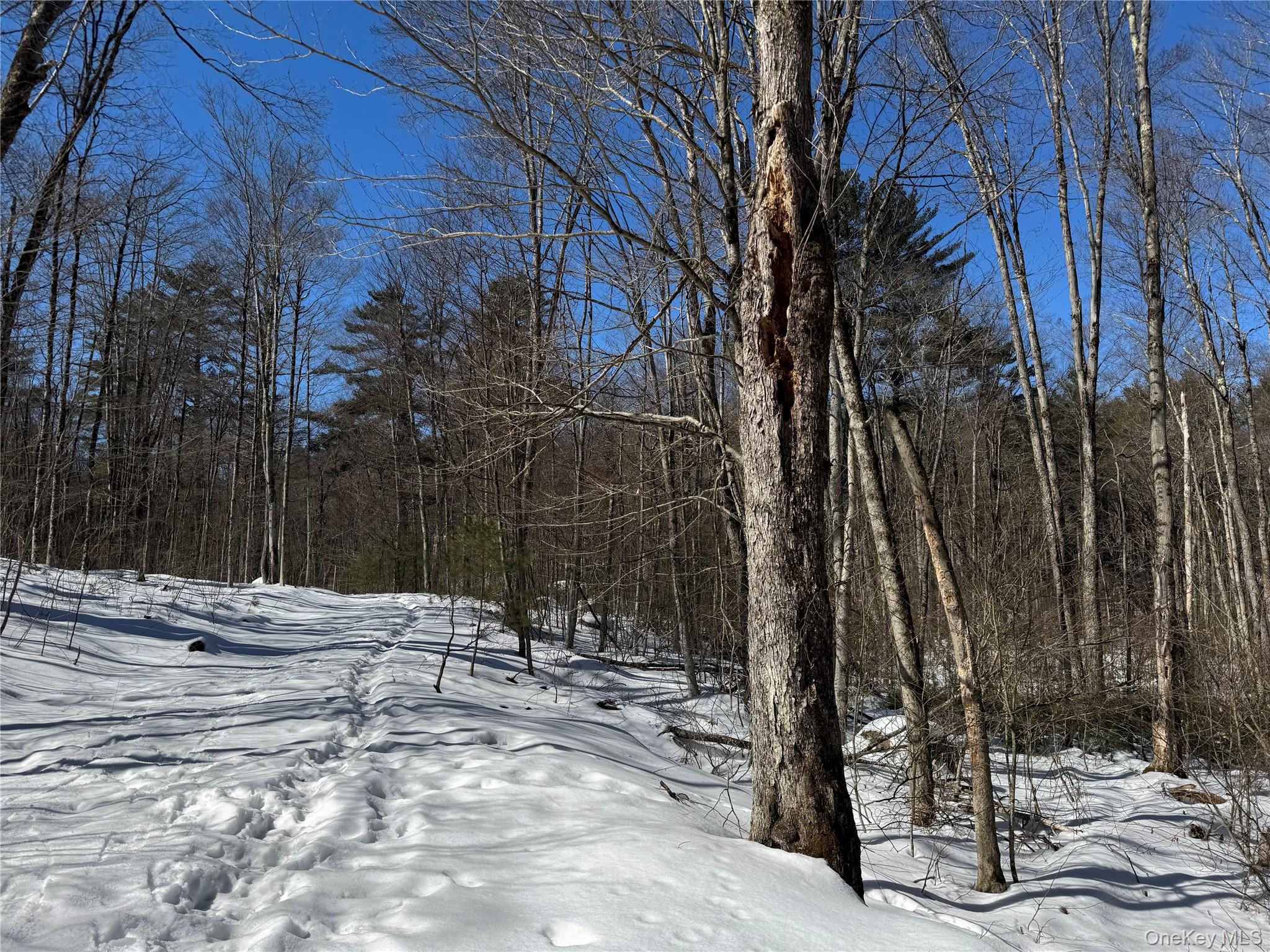 Lot 32 Woodstone Trail, Bethel, NY 12720