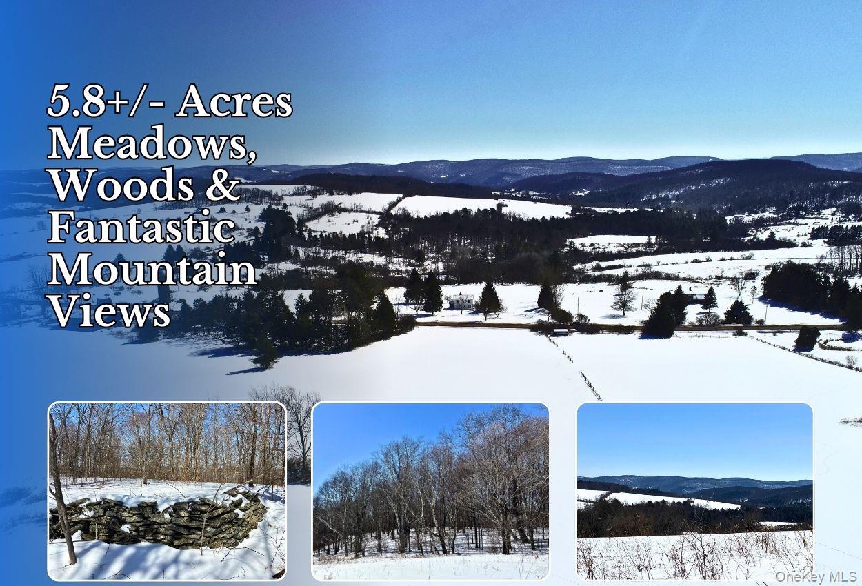 Lot 42 Hamden Hill Road, Hamden, NY 13782