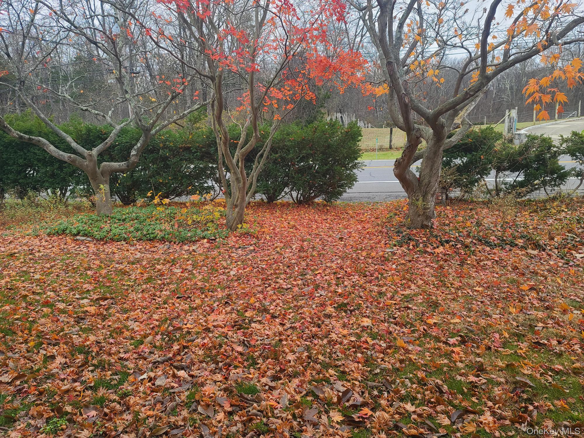 1547 Route 9 # 6, Tivoli, NY 12583