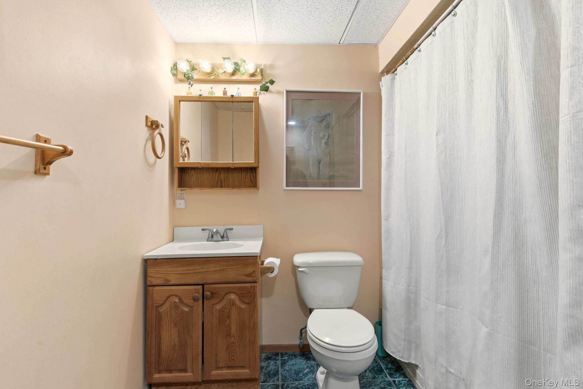 15 Alyssa Court, Holbrook, NY 11741