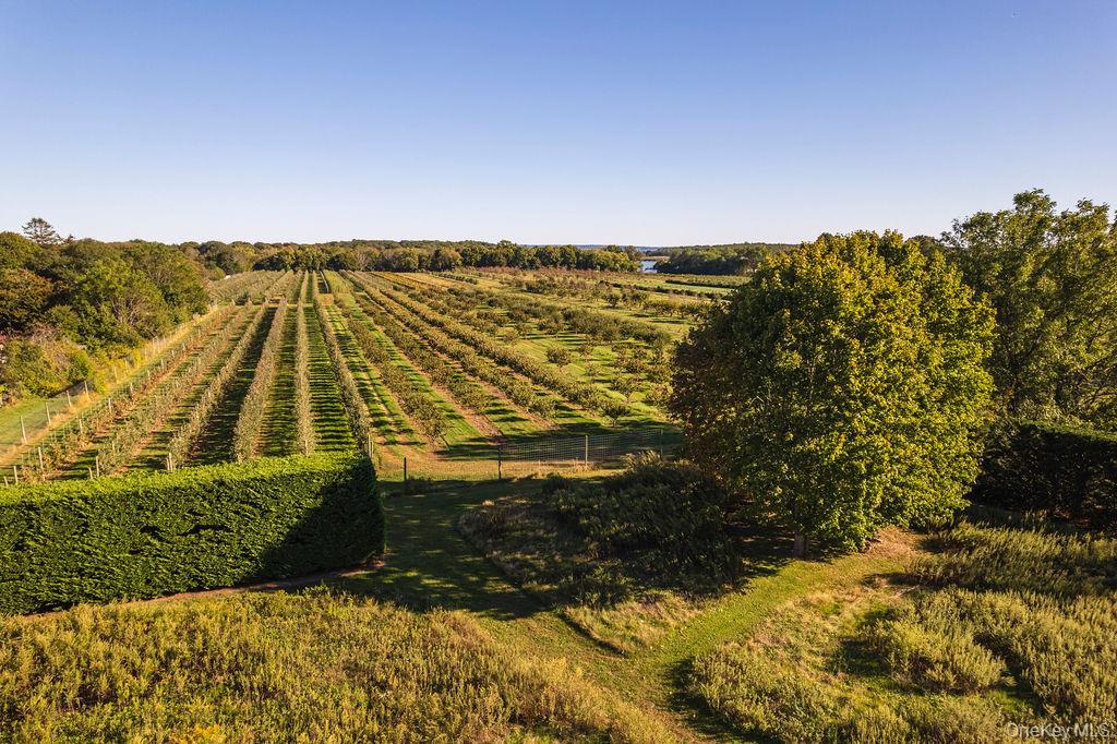 29500 Main Rd, Cutchogue, NY 11935