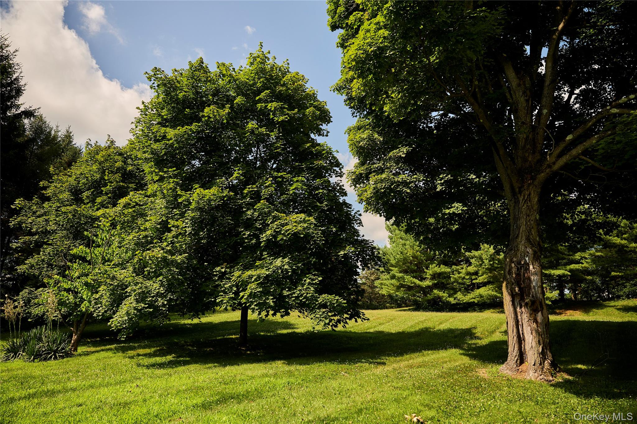 41 Seelbach Lane, Staatsburg, NY 12580