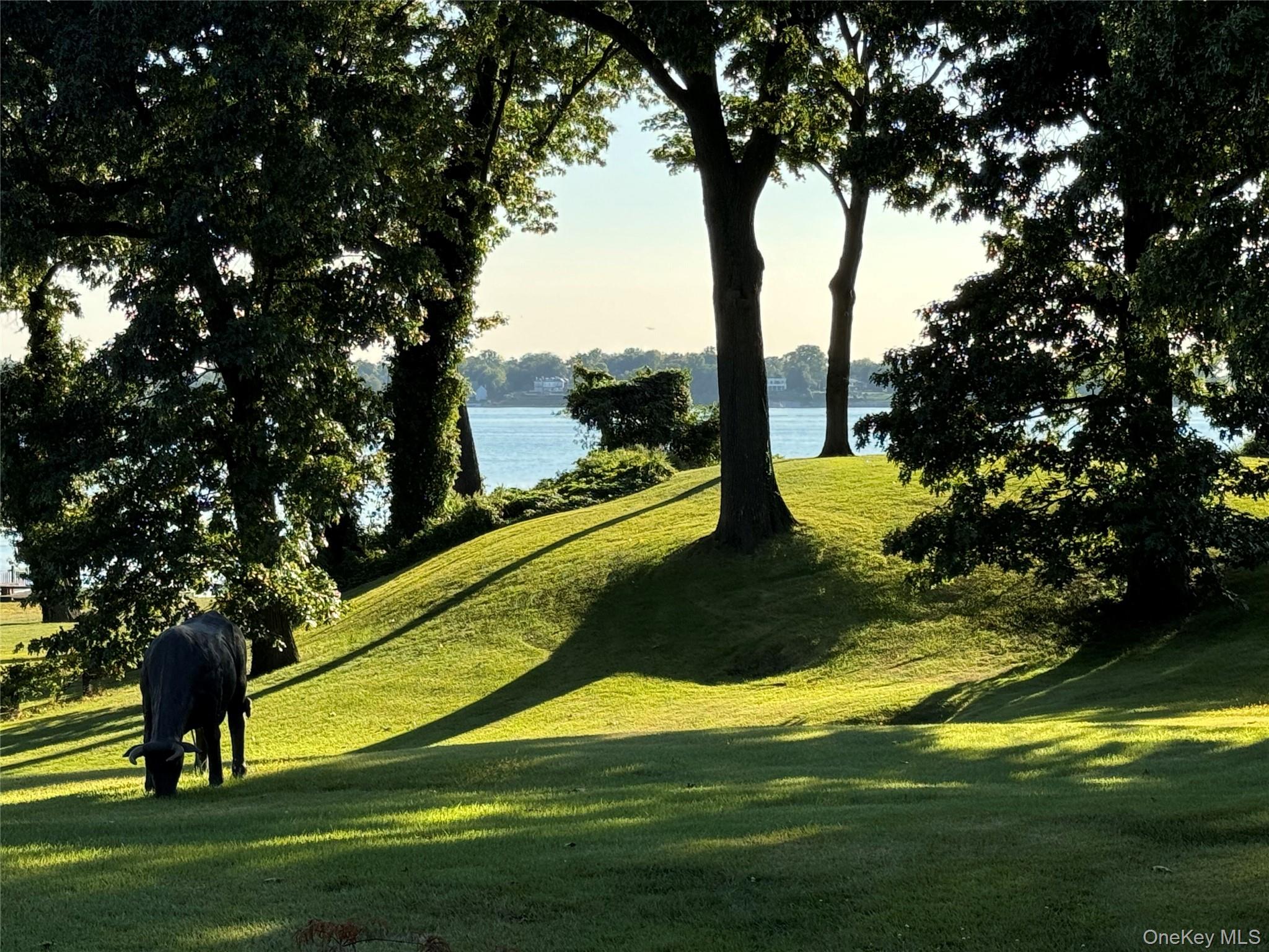 45 Cedar Lane, Port Washington, NY 11050