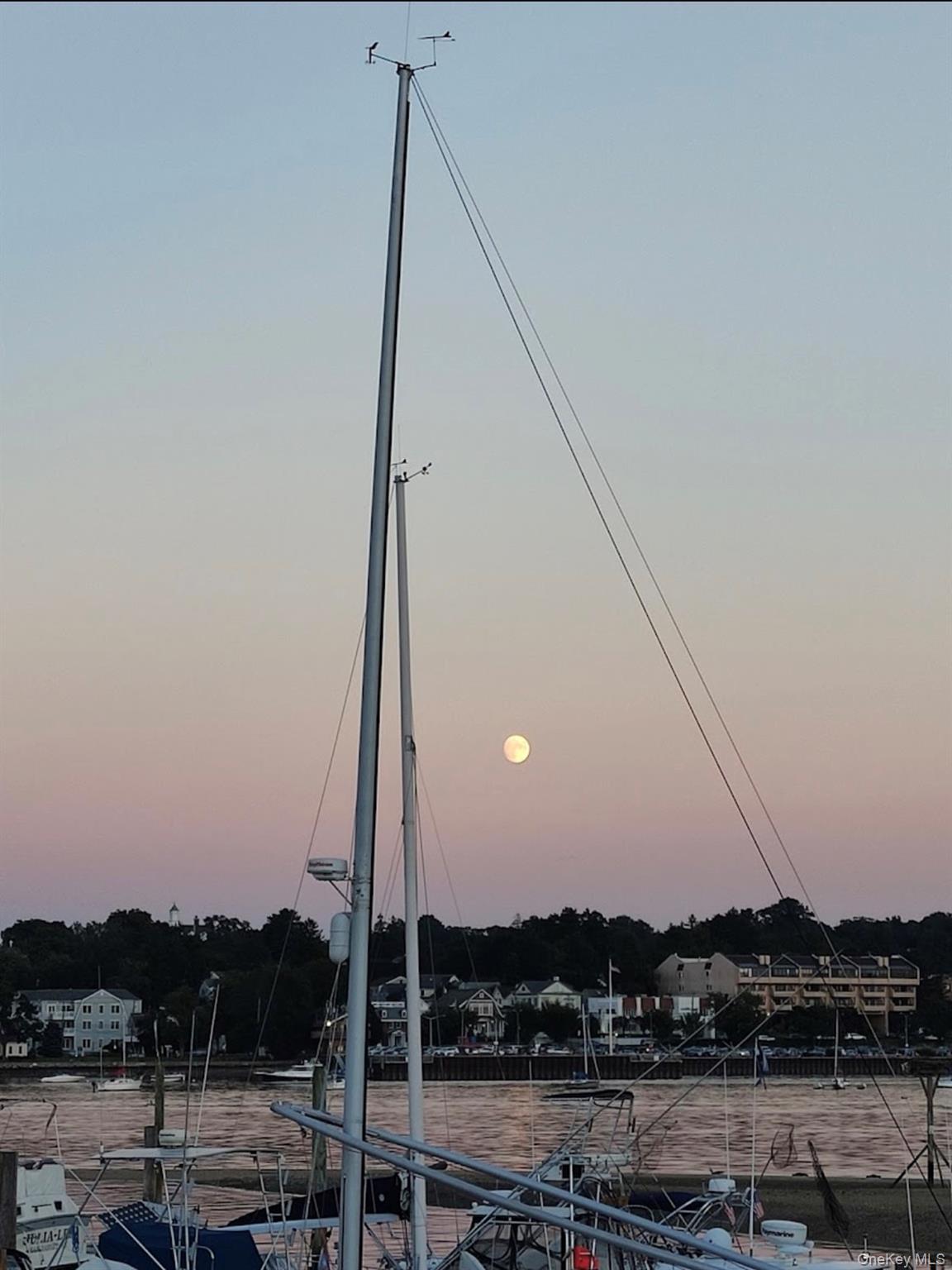 3 Toms Point Lane # A, Port Washington, NY 11050