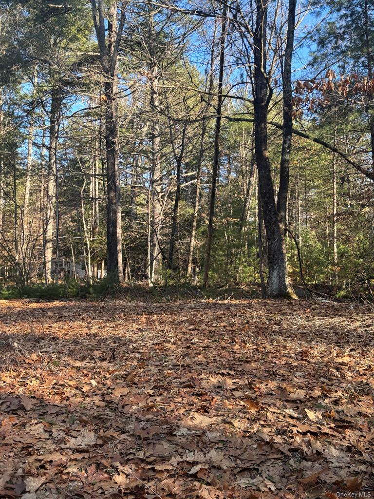 1 Avenue B, Godeffroy, NY 12729