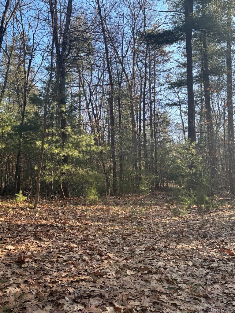 1 Avenue B, Godeffroy, NY 12729