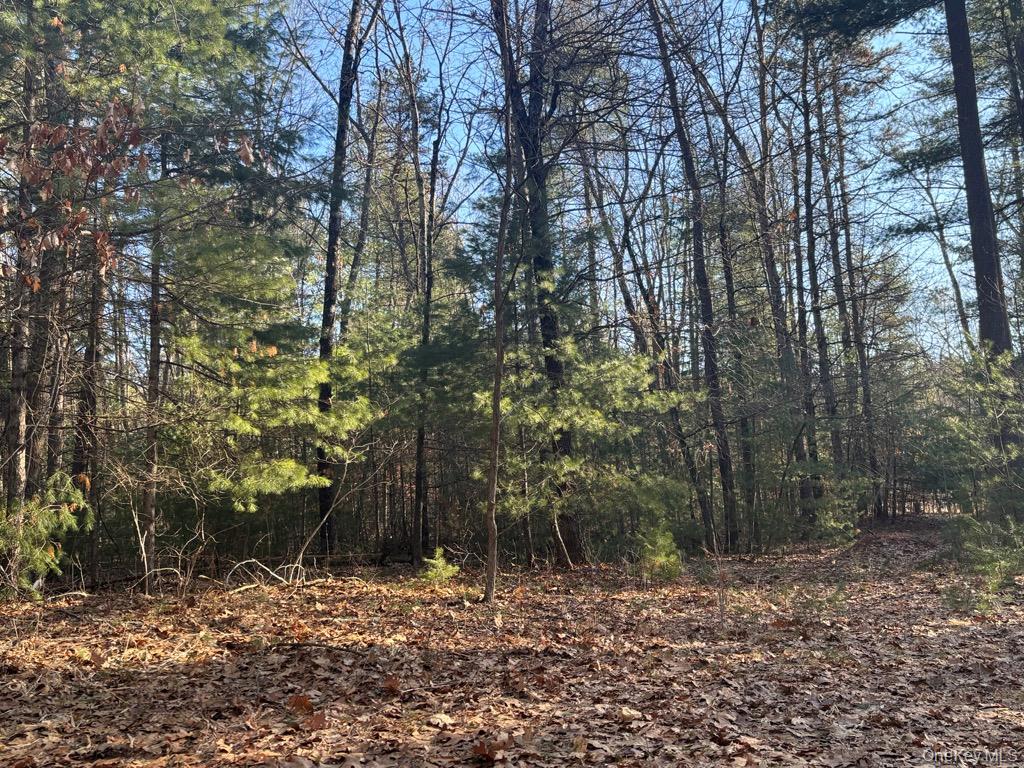 1 Avenue B, Godeffroy, NY 12729