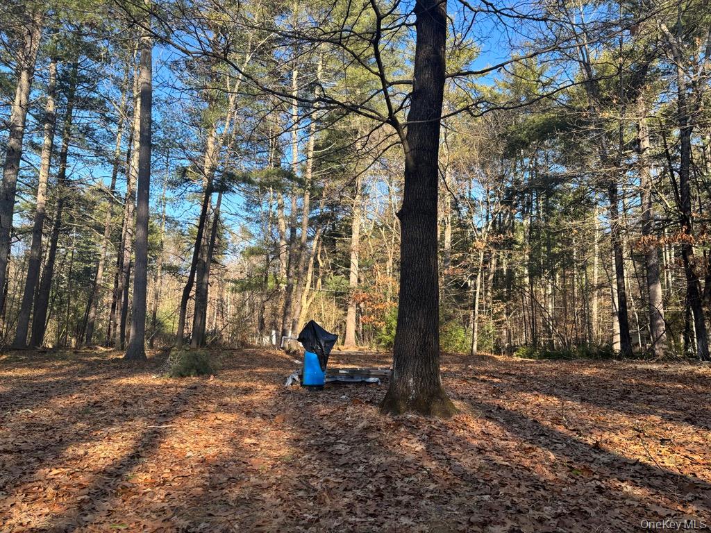 1 Avenue B, Godeffroy, NY 12729