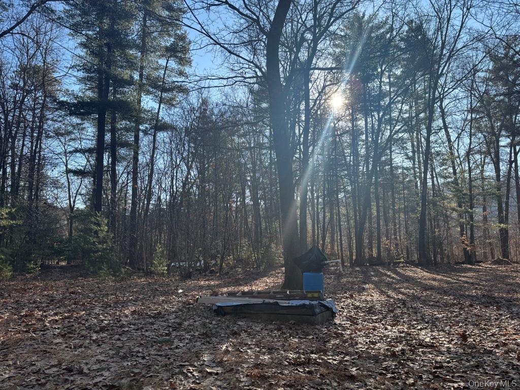 1 Avenue B, Godeffroy, NY 12729