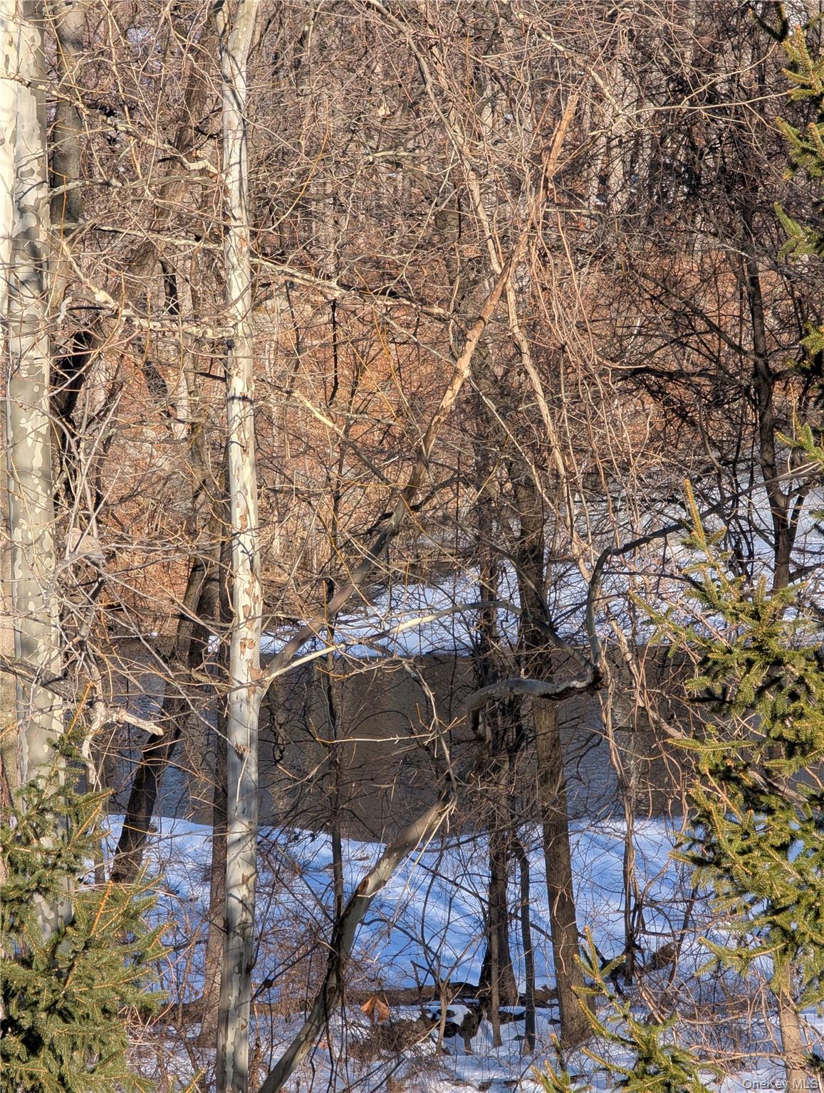 88 Brookview Lane, Newburgh, NY 12550