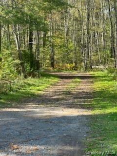 10 Dorm Drive, Fallsburg, NY 12747