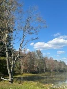 10 Dorm Drive, Fallsburg, NY 12747