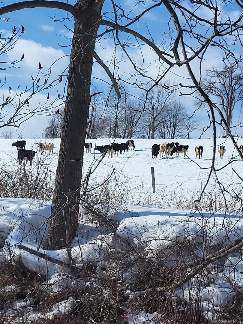 561 Grovenors Corners Road, Cobleskill, NY 12043