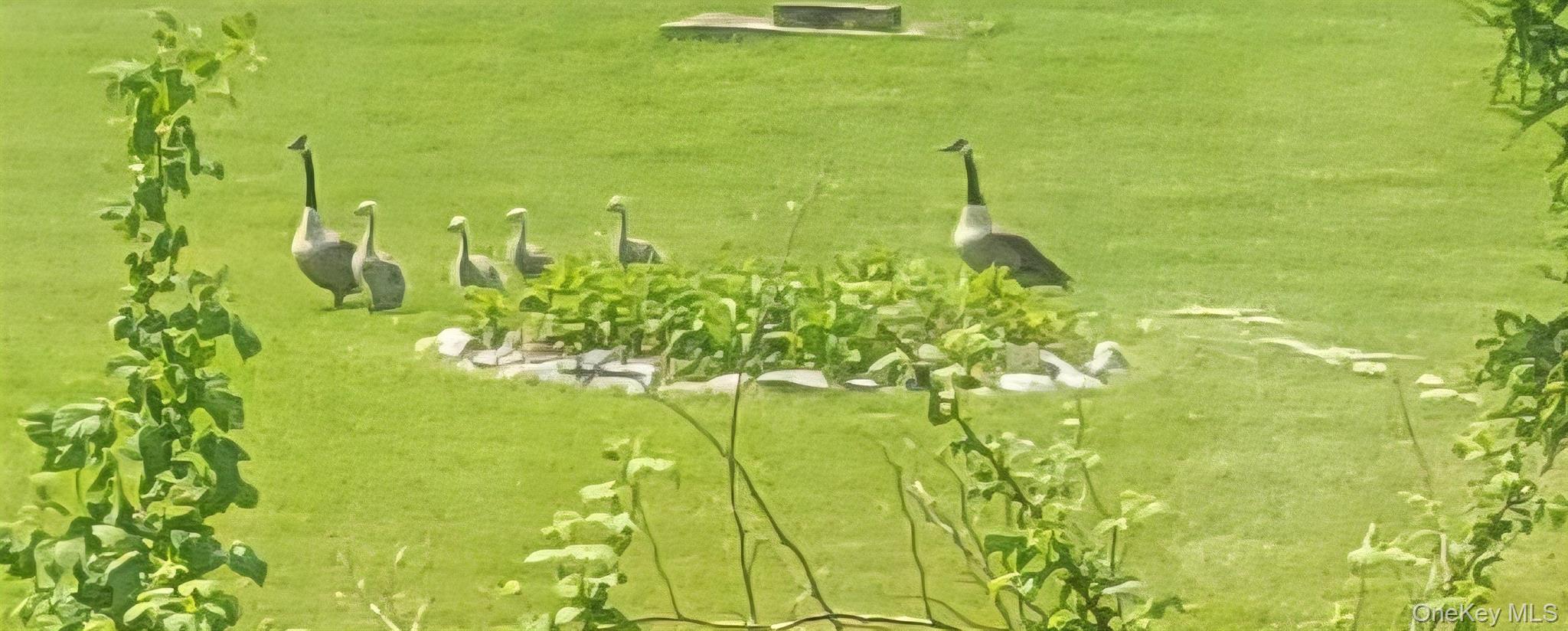 561 Grovenors Corners Road, Cobleskill, NY 12043