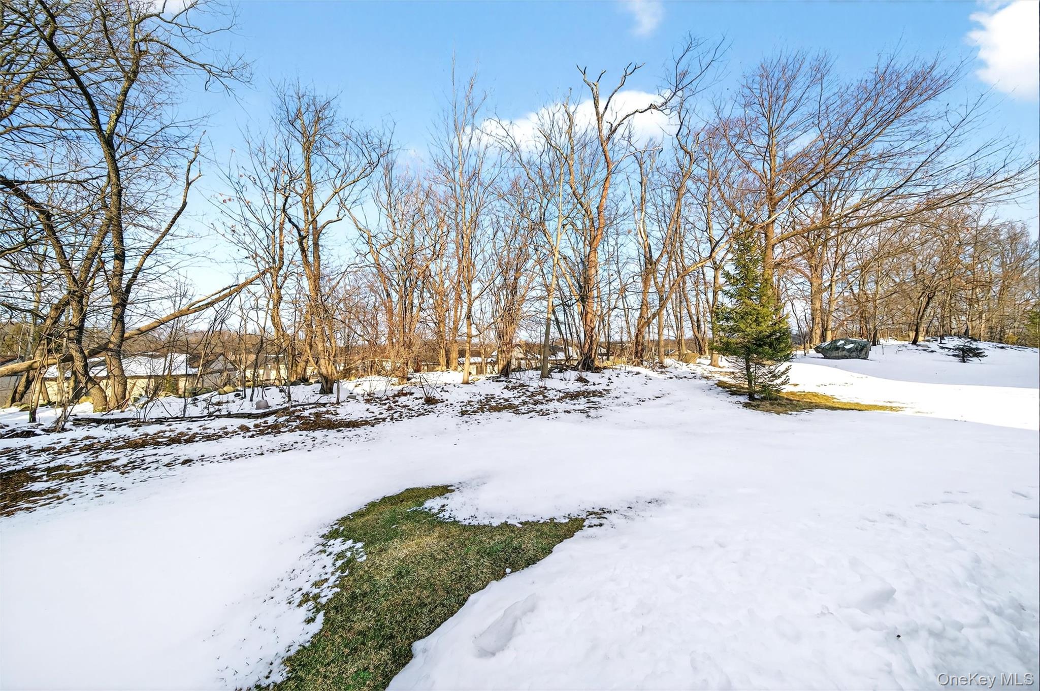 131 Meadow View Drive, Middletown, NY 10940