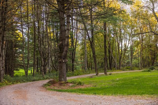 55 Chapin Trail, Bethel, NY 12720