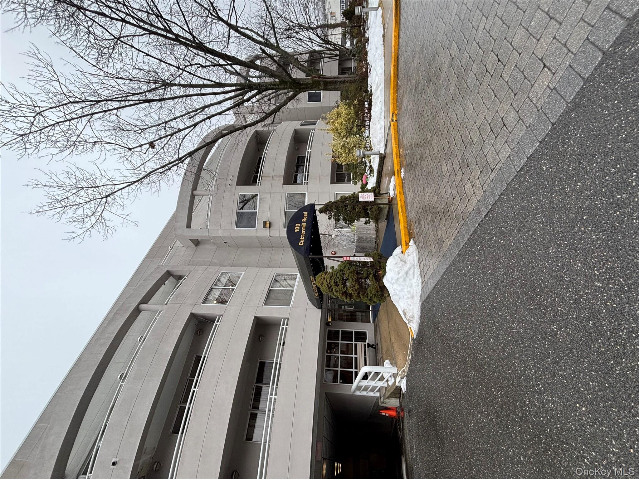 100 Cuttermill Road # 1B, Great Neck, NY 11021