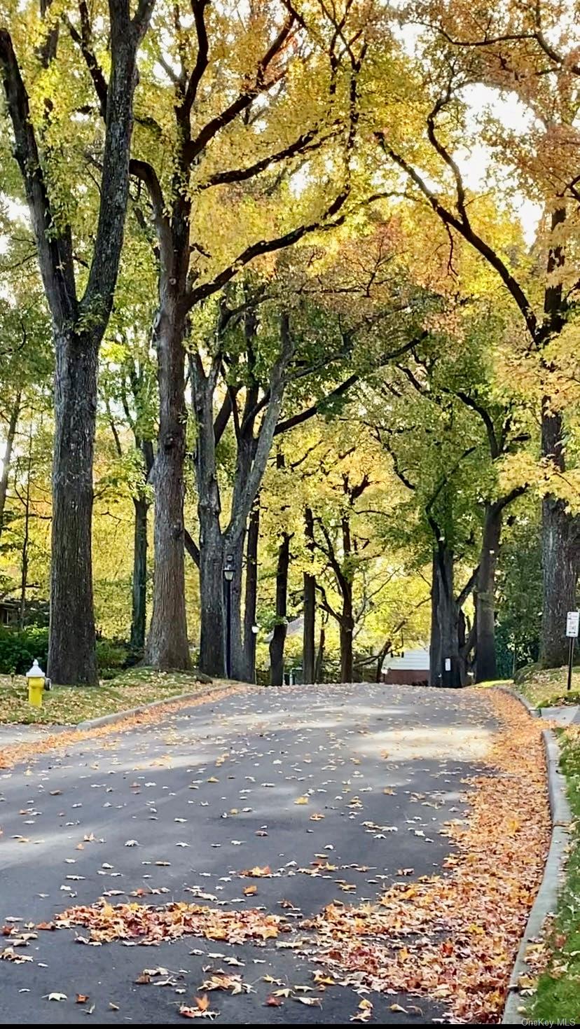 53 Somerset Drive S, Great Neck, NY 11020