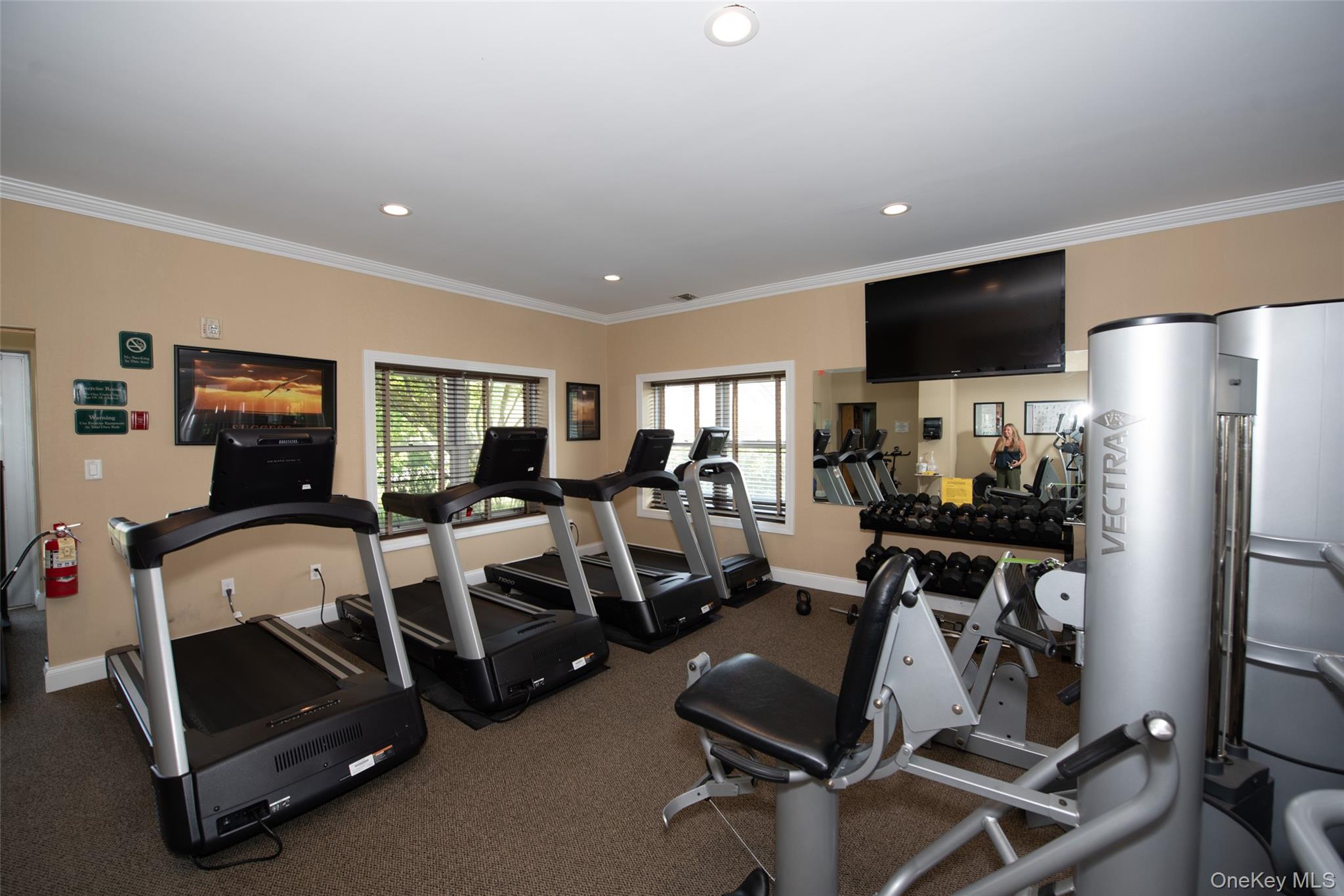 210 Erik Drive, East Setauket, NY 11733