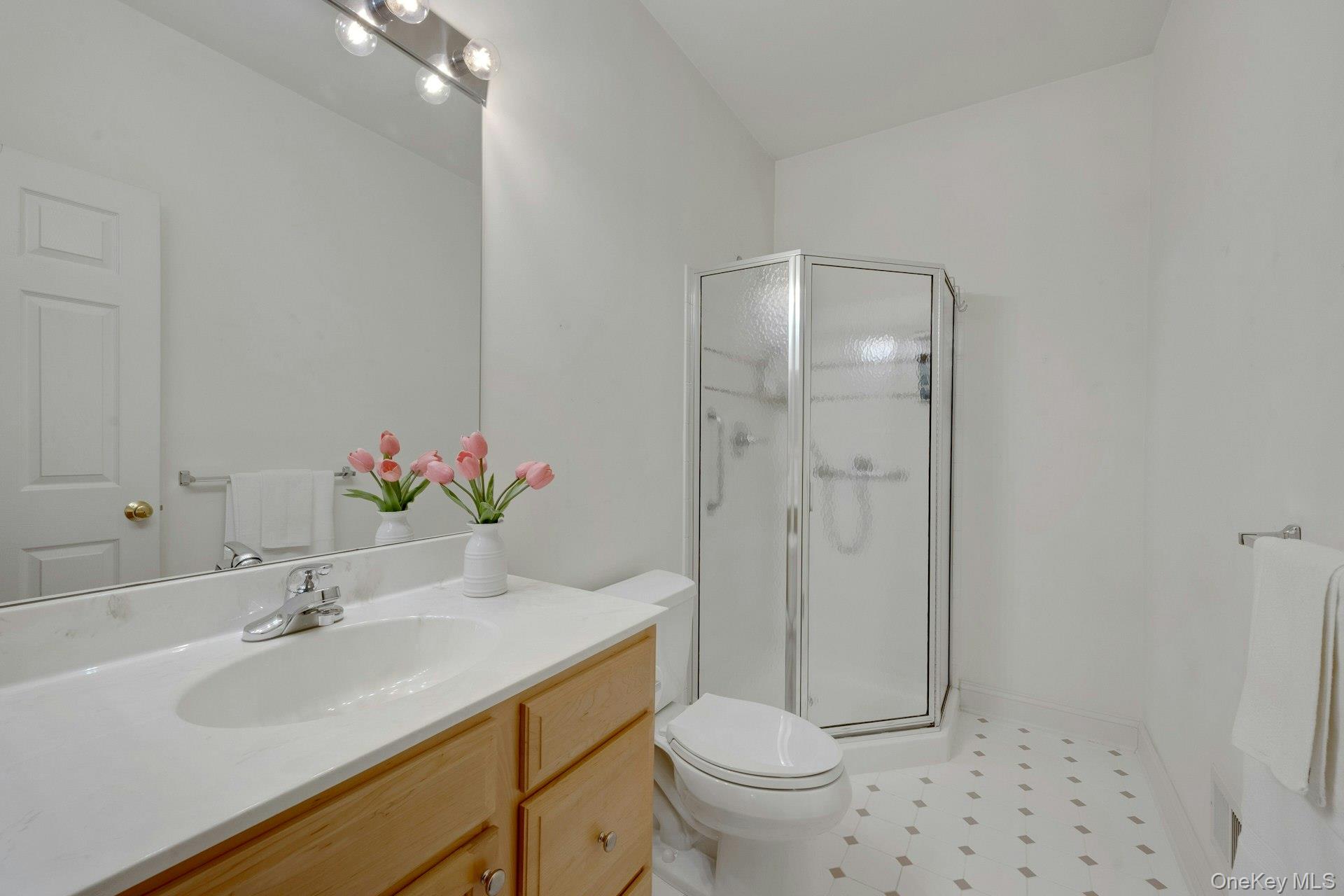 8 Justine Court, Briarcliff Manor, NY 10510