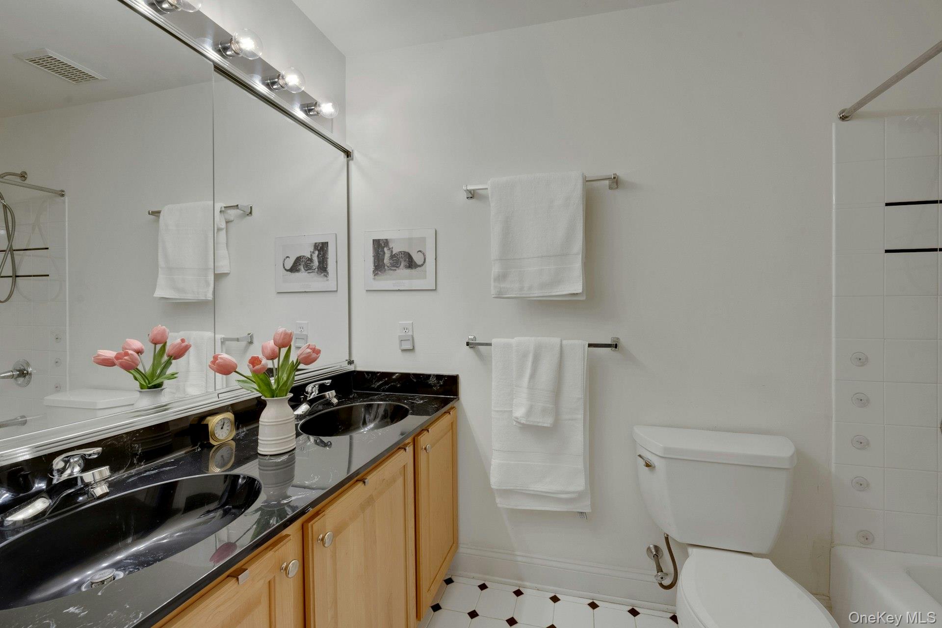 8 Justine Court, Briarcliff Manor, NY 10510