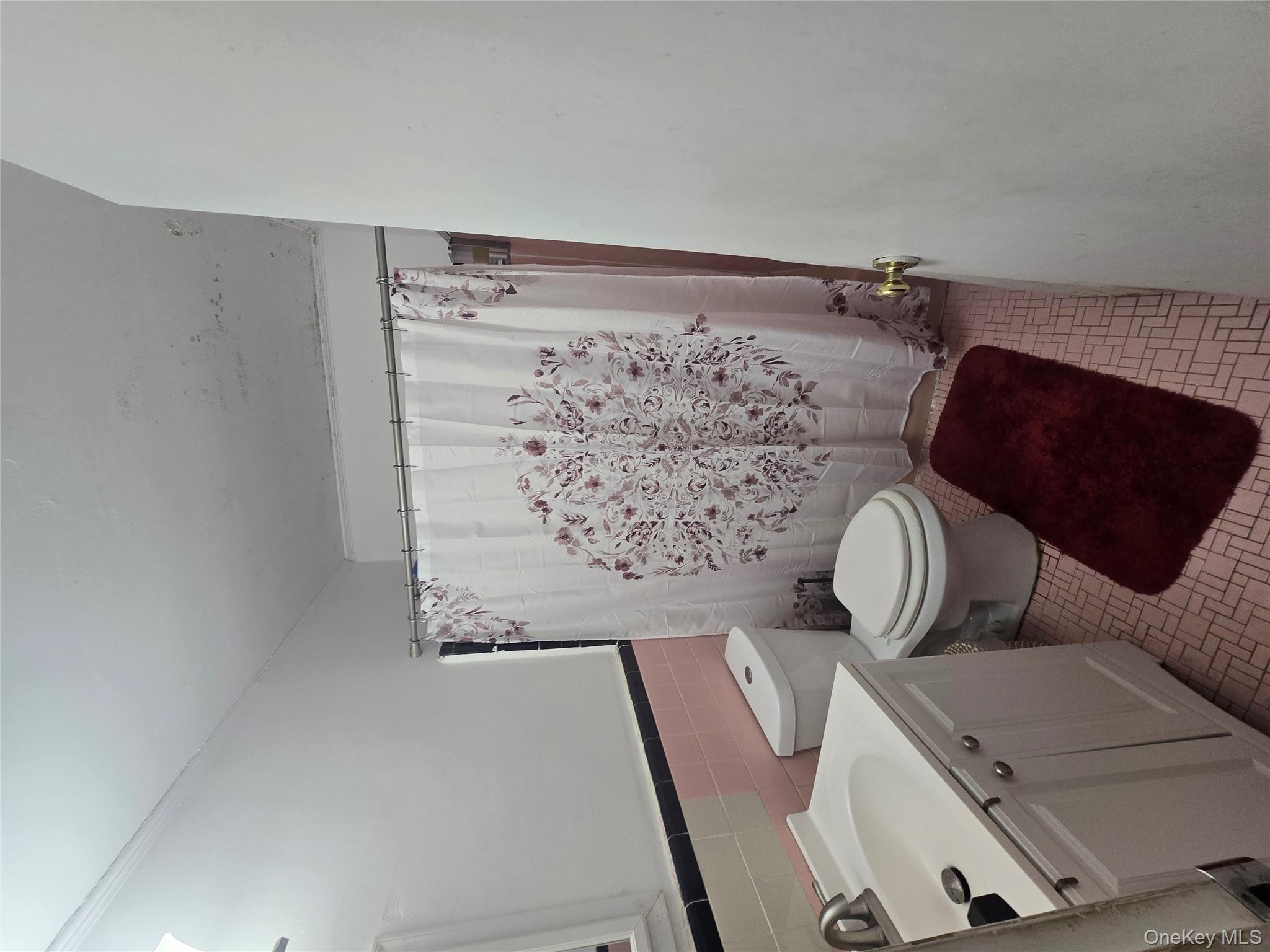 506 Froehlich Place, Elmont, NY 11003