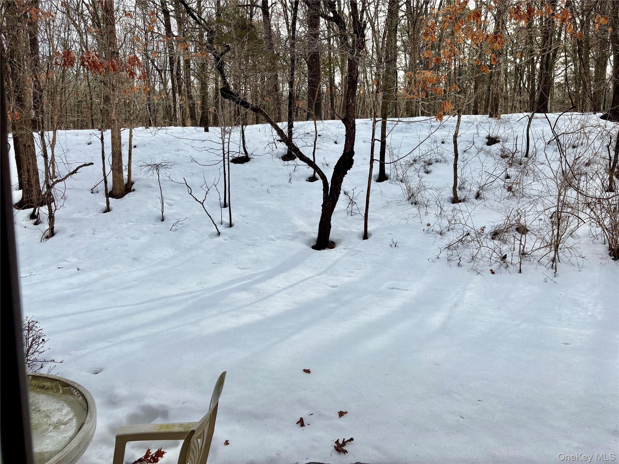 9 Willow Ct # 9, Selden, NY 11784