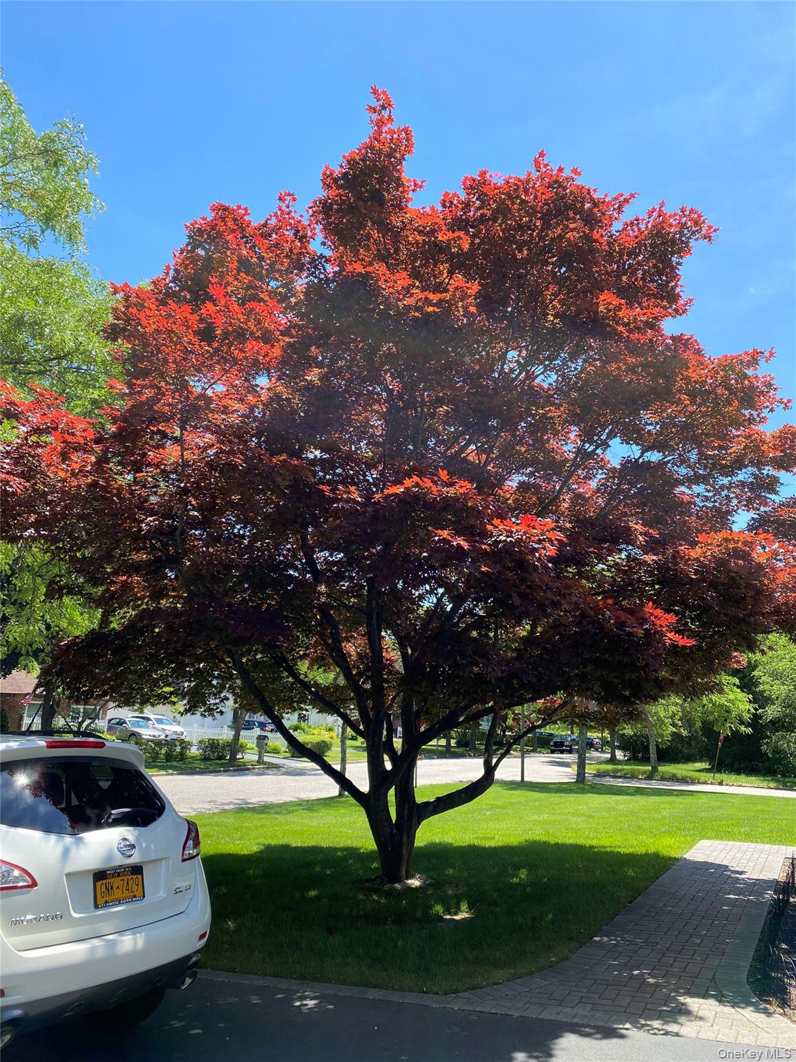 69 Meyer Lane, Medford, NY 11763