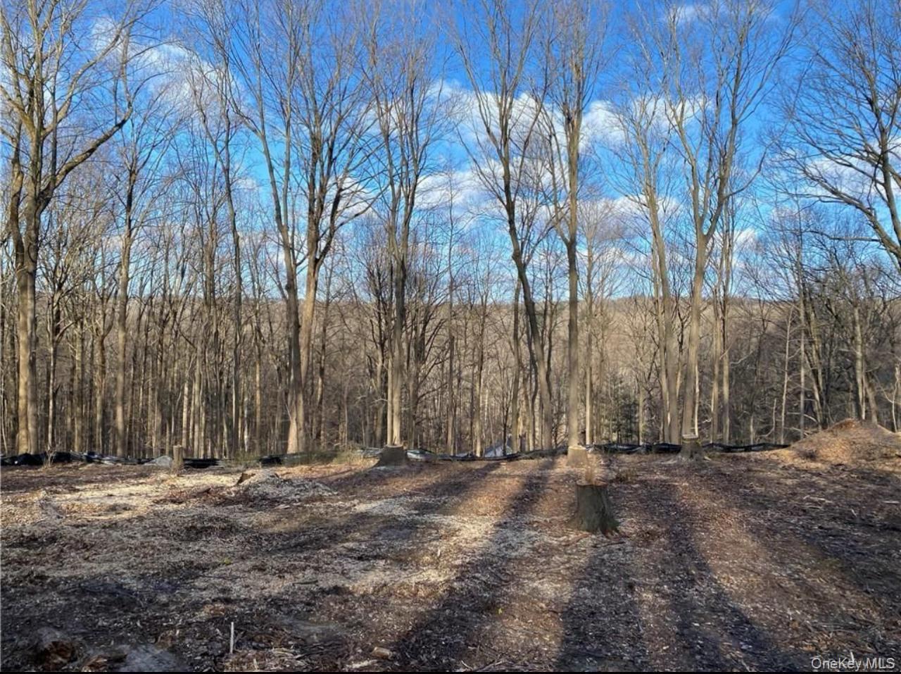 11 Whippoorwill Lane, Armonk, NY 10504