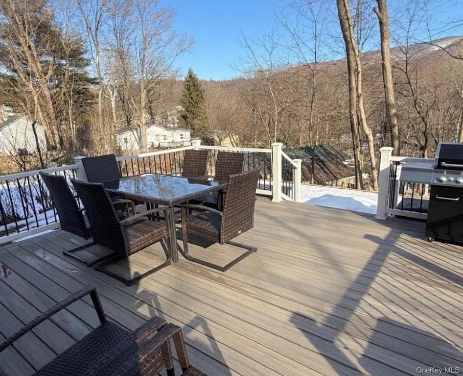 42 Wesley Avenue, Beacon, NY 12508