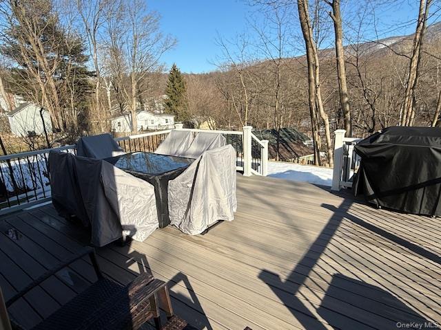 42 Wesley Avenue, Beacon, NY 12508