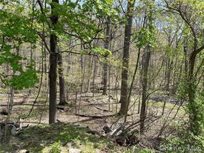 458 Pascack Road, Spring Valley, NY 10977