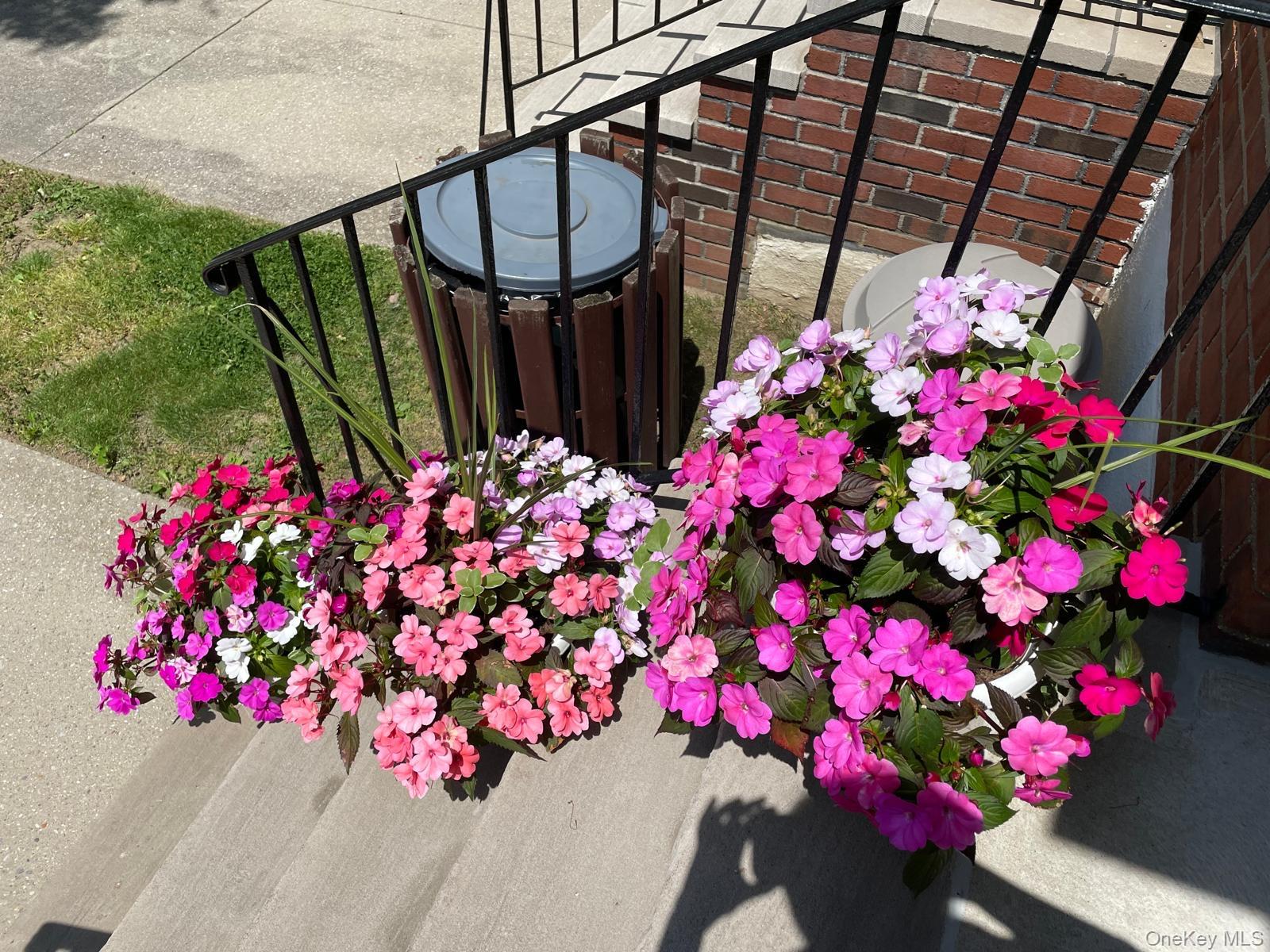 68-37 138th Street # A, Flushing, NY 11367