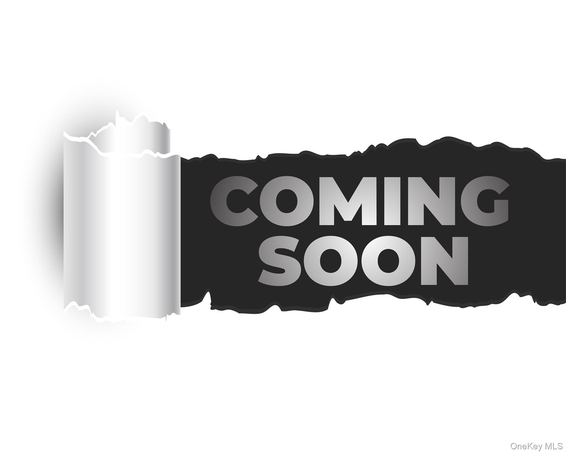 44 Lincoln Street # 2, Elmont, NY 11003