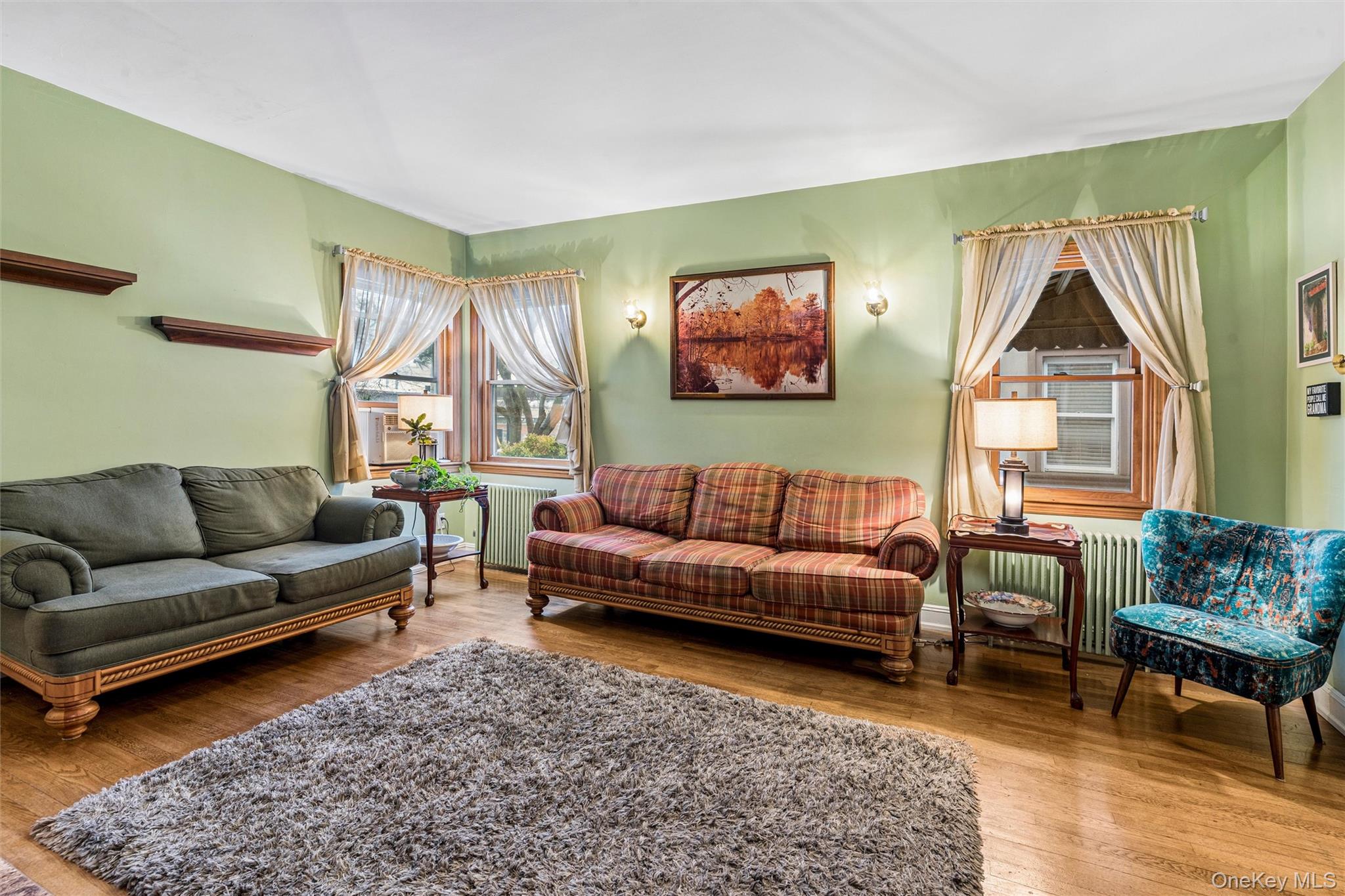 9 Clinton Street, Elmont, NY 11003