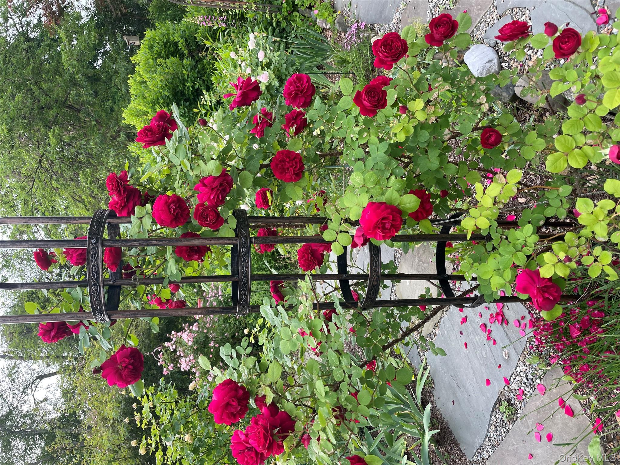 33 Fulmar Road, Mahopac, NY 10541