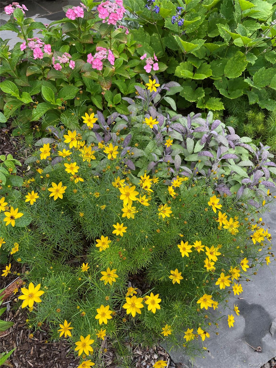 33 Fulmar Road, Mahopac, NY 10541