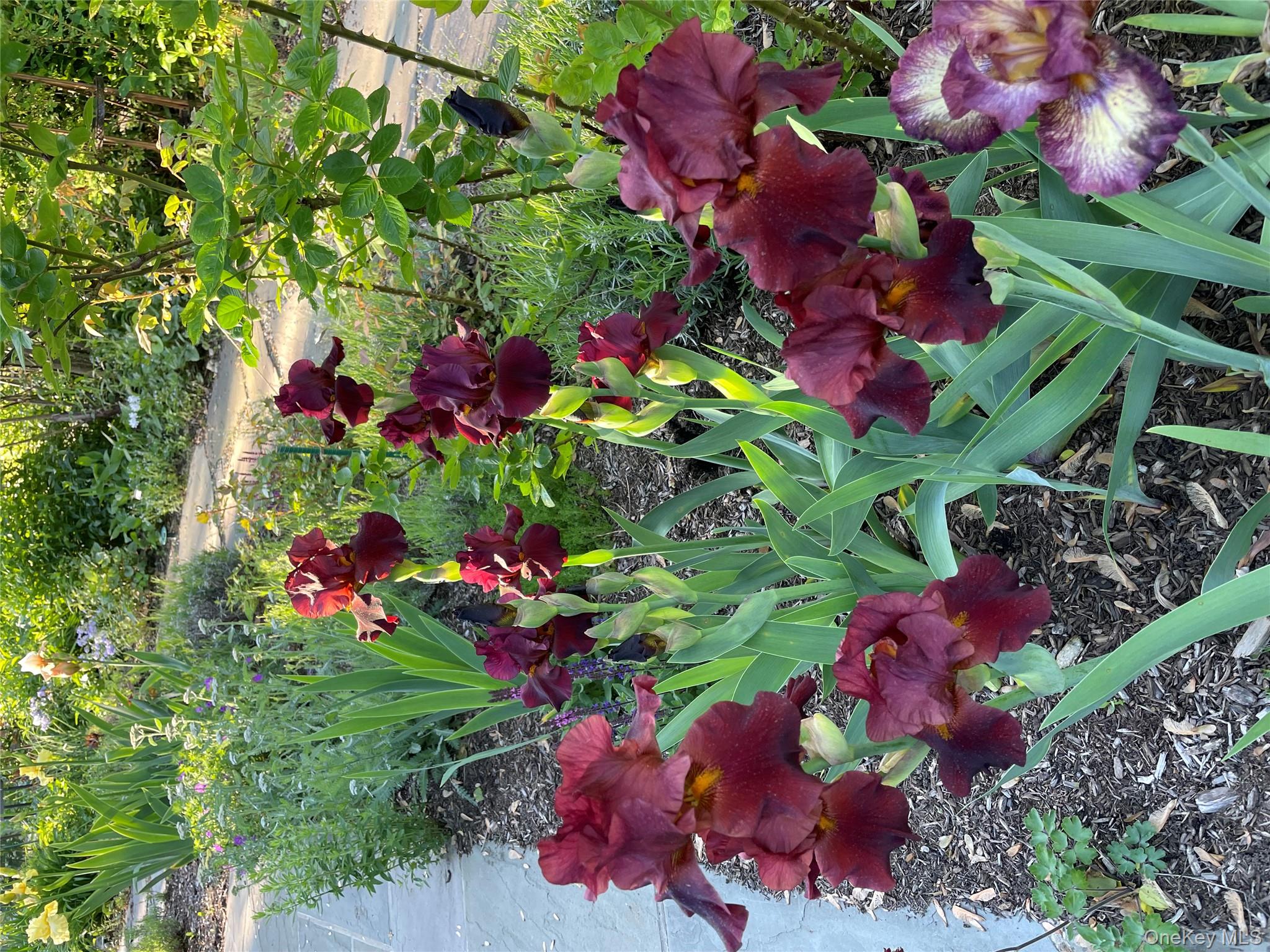 33 Fulmar Road, Mahopac, NY 10541