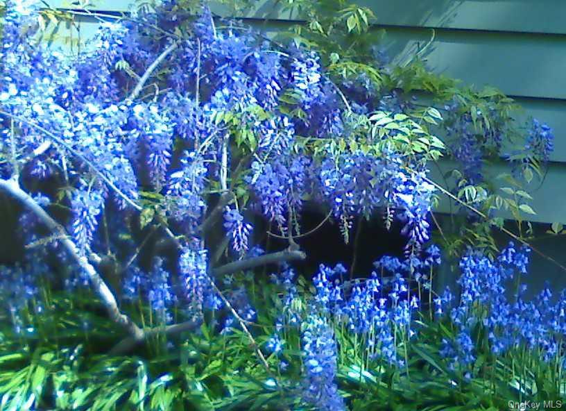 16 and 16A Brook Street, Suffern, NY 10901