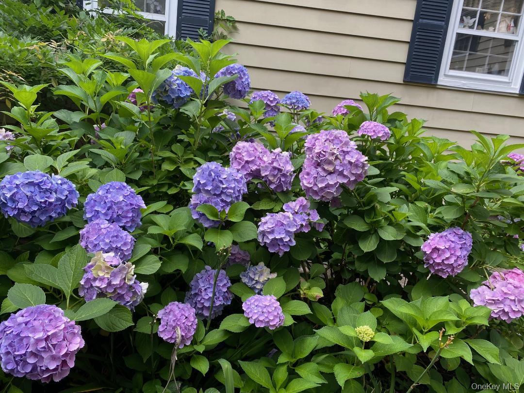 16 and 16A Brook Street, Suffern, NY 10901