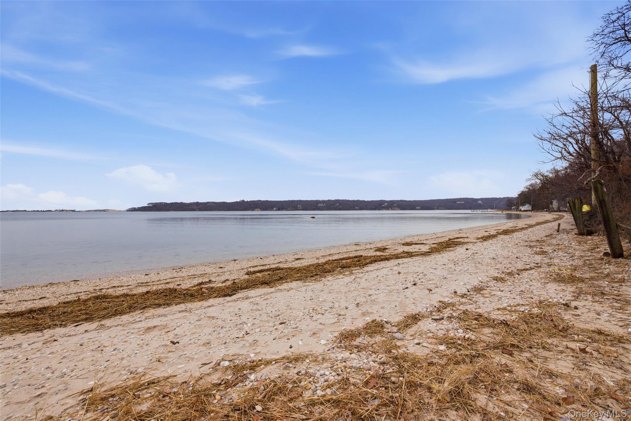 66 Chestnut Avenue, Setauket, NY 11733