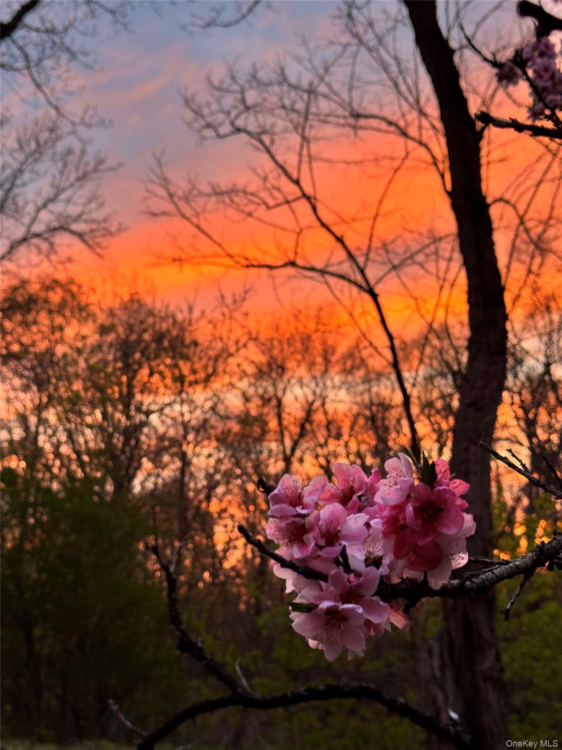 734 King Street, Chappaqua, NY 10514