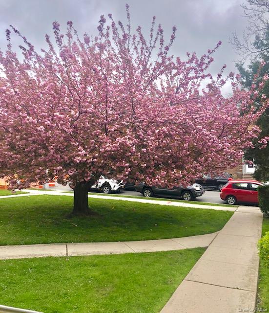 36-44 172 Street # 93, Flushing, NY 11358