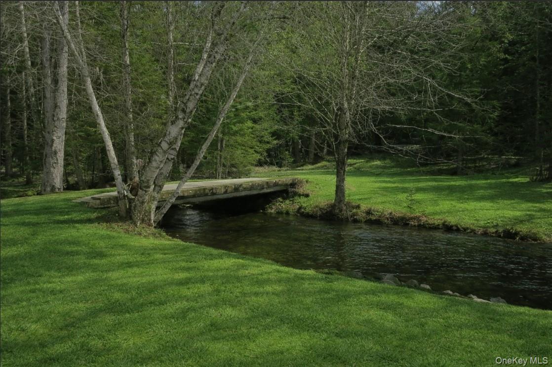 698 Cooley Road, Parksville, NY 12768