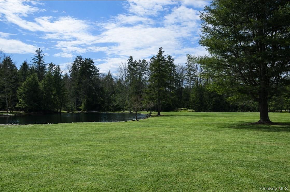 698 Cooley Road, Parksville, NY 12768