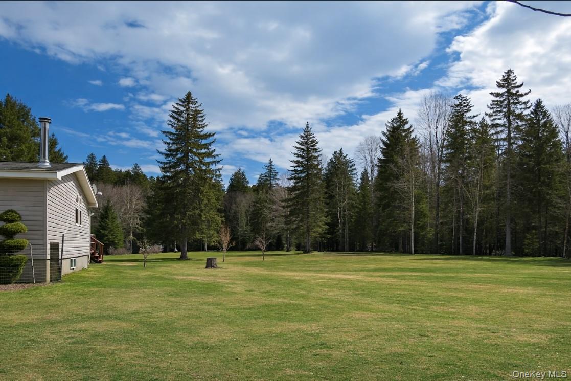 698 Cooley Road, Parksville, NY 12768