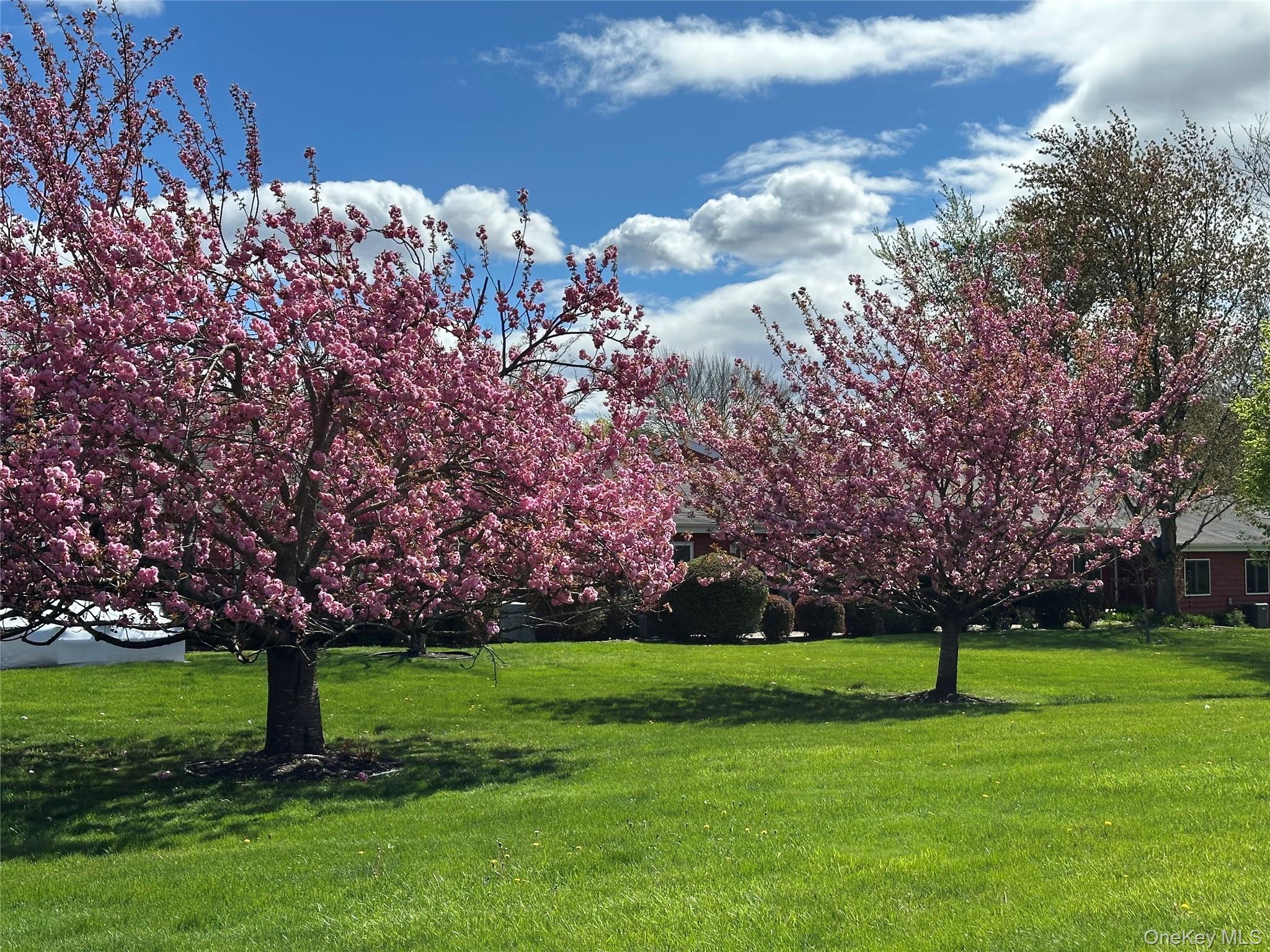 908 Drew Drive, Saint James, NY 11780